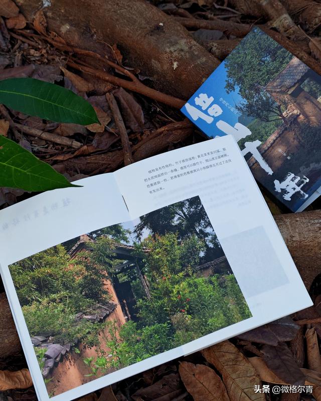 在终南山上隐居十年，是一种什么体验？