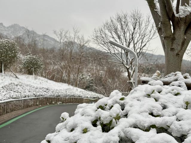 瑞雪飘然而至中国海滨城市青岛