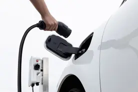 新能源车牌字母含义？内行人说出D与F背后的秘密，后悔才知道……图片