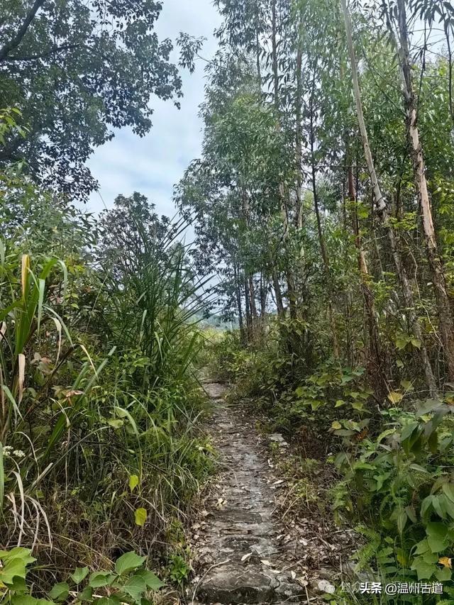 这处以玻璃栈道、落日观景和悬崖木亭而闻名的网红地,你可去过