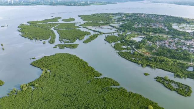 解锁湛江宝藏海岛！坐拥上万亩“天空之境”赶海胜地