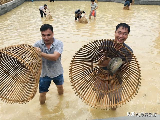 五一假期去哪儿？佛山紫南首届农耕文化节邀您共赴田园之约