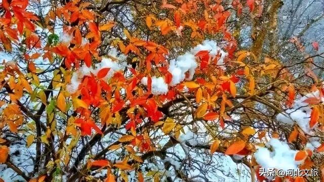 秋日必冲的保定“天然氧吧”出炉，每个都是国家级秘境