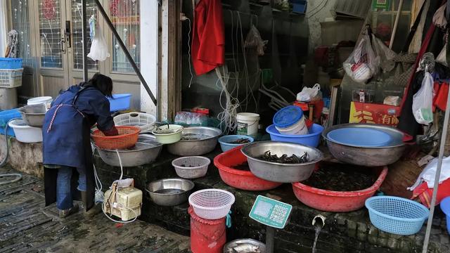 扬州高邮：古有秦少游，今有汪曾祺；一座充满市井烟火气息的城市