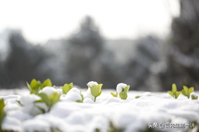 “上午小寒是暖冬，下午小寒冻死牛”，今年小寒几点？有啥说法？