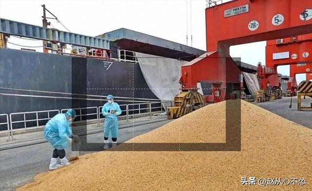 贪心砸了饭碗？巴西硬抬价，中国 130 万吨大豆瞬间流向阿根廷！