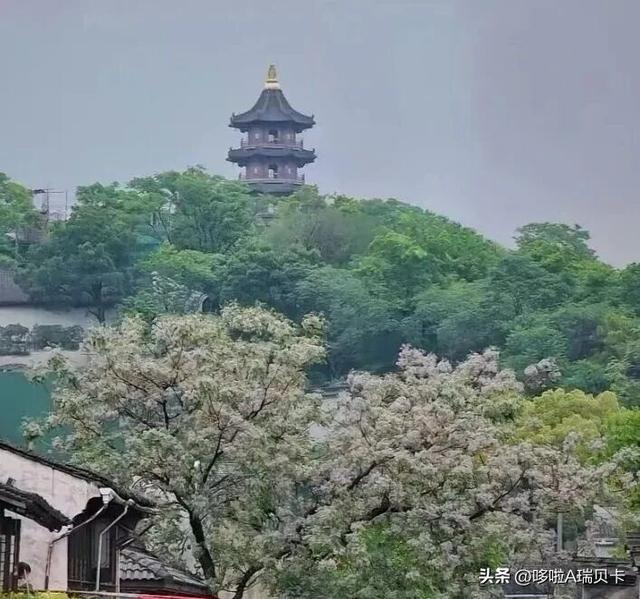 退休后一定要在这6座城市旅居，消费不高生活安逸	，来了就不想走