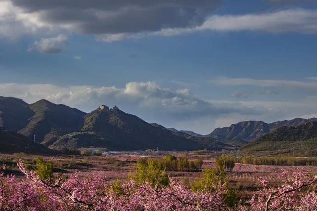 丫髻雅集・咖汇英才 | 平谷区人才咖啡日——丫髻山农文旅融合发展研讨交流活动成功举办