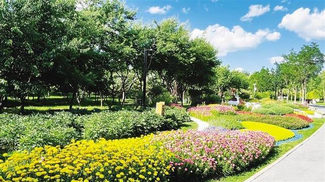 呼和浩特花境“画境”:以植物为笔 方寸间绘就生态画卷