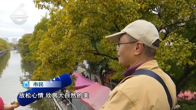 冬天的昆明，盛满了温柔的金黄色