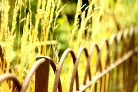 告诉子女：找对象时，要坚守三个原则，这才是智慧图片