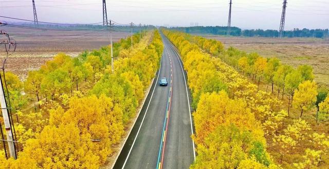 秋深景更美!运城最绚烂时刻到了!