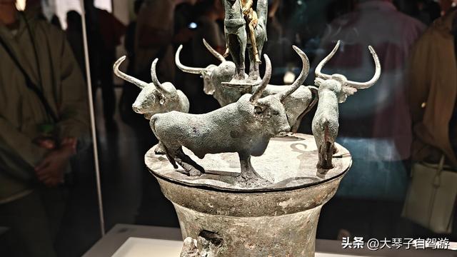 滇池线神反转！省博文物惊艳到拍案，收尾摔车笑喷全场