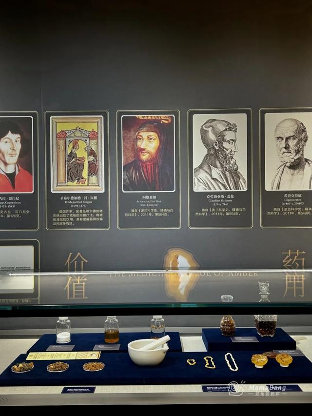 出郑州，开学前还能玩什么？这几个展览免预约，又凉快！