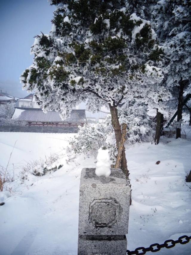 又来？这样的随州，你见没见过？