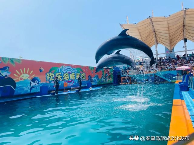 秦皇岛开学季重磅福利，新生免费、特惠游！速来薅羊毛！🥳