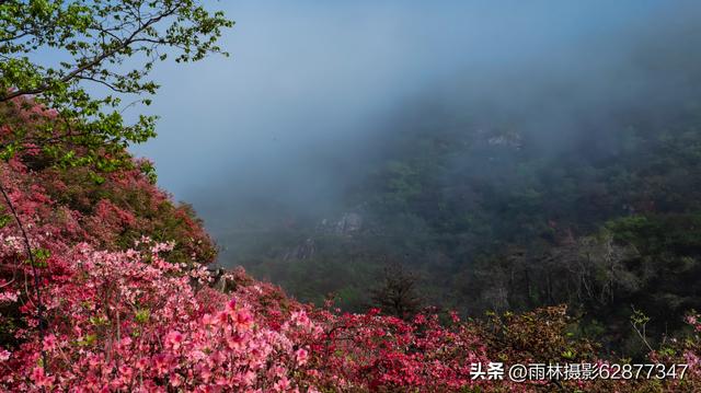 在黄陂，这样的美景你见过吗？