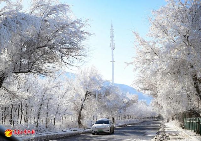听我的，雪后的乌鲁木齐，真的能治愈一切！