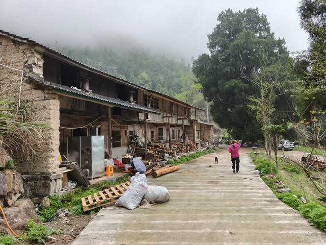 仙居县余下坑村，云卷云舒推窗风满帘，望水望山枝头花盈春