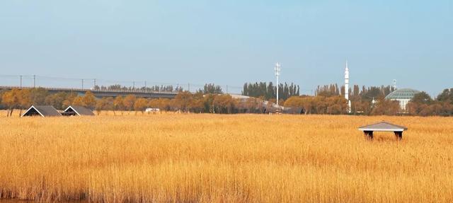 大地艺术与彩叶共绘生态画卷！藏在园博园湿地里的秋日浪漫→