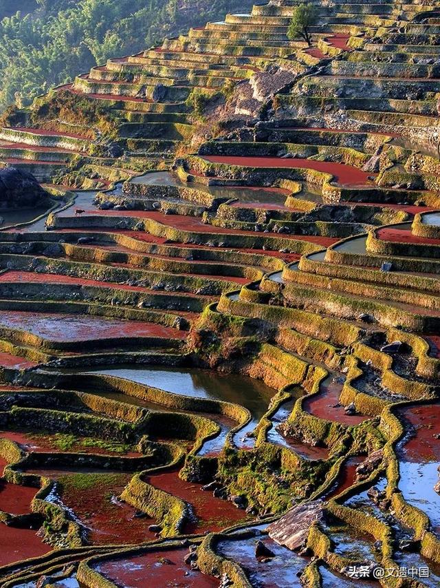 看一看，世界文化遗产委员会如何高度赞赏中国六大世界文化景观？