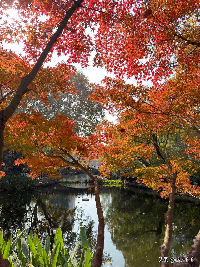 沿着鲁迅的足迹，赏上海秋日美景