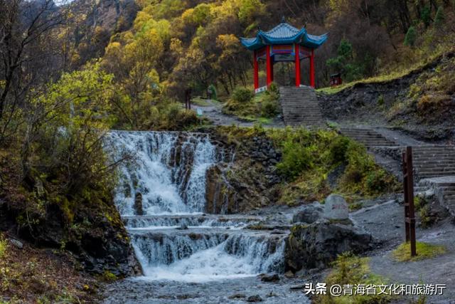 双节假期寻秋记：互助北龙山——藏在互助的“调色盘”，每一步都是诗意