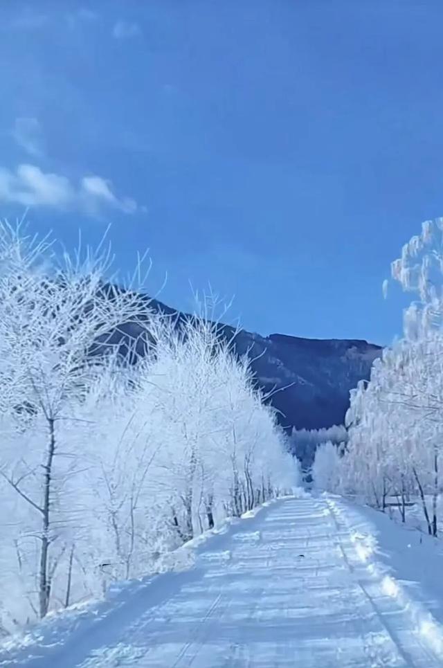 长白山冬日“天花板”！这3条宝藏路线，看到第一条就想出发