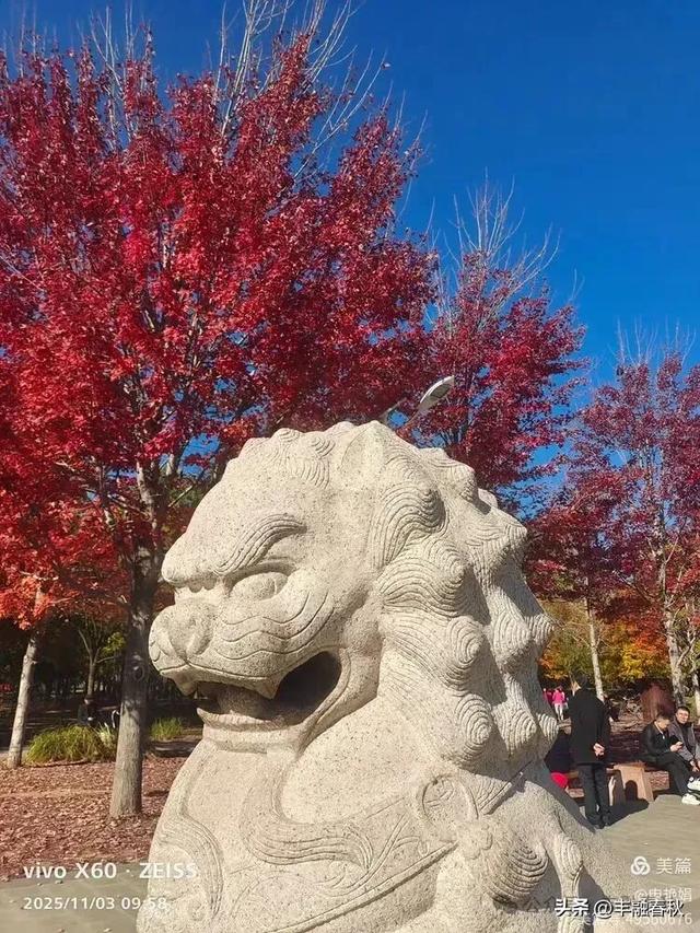 青岛即墨马山寻趣：一座地质公园的秋日私语｜申艳娟