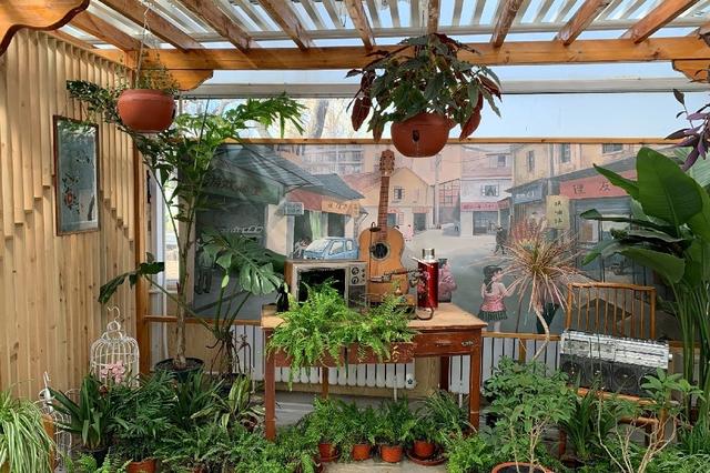 北京世界花卉大观园 四季繁花的梦幻天地