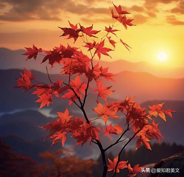 秋风瑟瑟日渐凉，层林尽染秋色黄