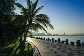 深圳好玩又免费的景点推荐，深圳必去的6个免费景点，地铁直达！图片