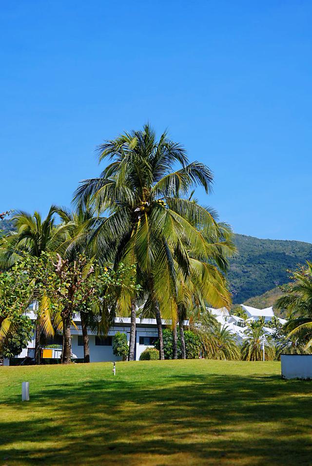 秋冬一到，三亚凭啥又成了“香饽饽”？