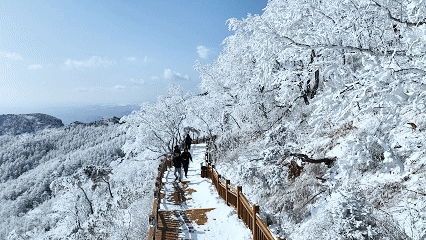 同款Get！跟着山东卫视《新闻联播》打卡沂山冰雪奇境！