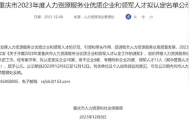 推动人力资源服务业高质量发展 重庆44家企业及13位领军人才入选这个名单！图片