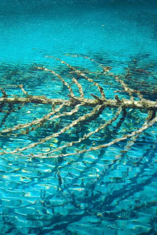 她们说九寨沟烤肠好吃我就来了！