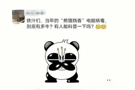 当年的熊猫烧香病毒有多牛？网友：我只看到网吧老板哭的挺伤心图片