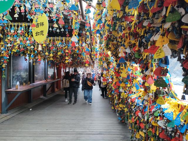 虎跳峡谷中的石头和风口的猪