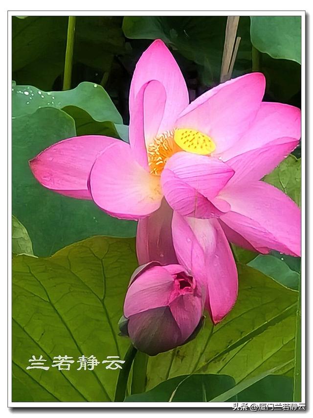 云南普者黑：自由行两日游