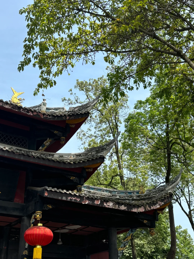 比人民公园巴适！5元素斋管饱、10元茶喝一天，公交直达宝藏古寺