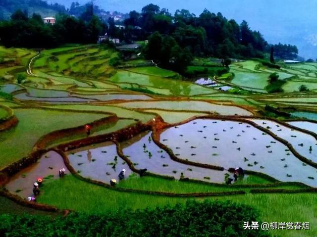 【国庆推荐】元阳梯田·哈尼人写给大地的诗行