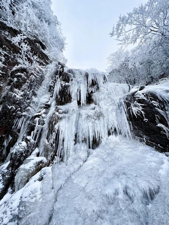 未来15天持续放晴！明月山进入日出云海、雾凇冰瀑最佳观赏期！