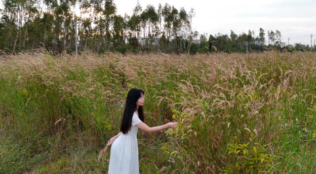 在多彩花海间，邂逅湛江的浪漫初冬！