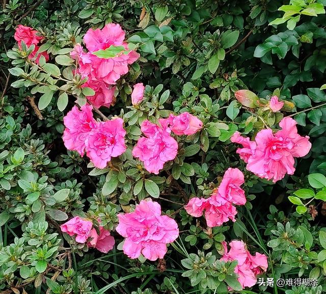 女人最大的遗憾，不是爱上渣男，不是没嫁首富，而是没成为自己。