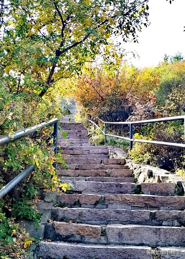 以我4次经历，带你打卡北京香山，北京的朋友请补充