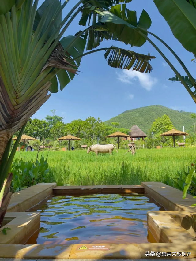 隐匿在广东的冬日秘境：恩平，一座20℃暖冬里的温柔小城