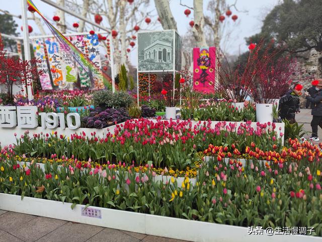 武汉十二月——一月一帧藏走过2025的四季光影