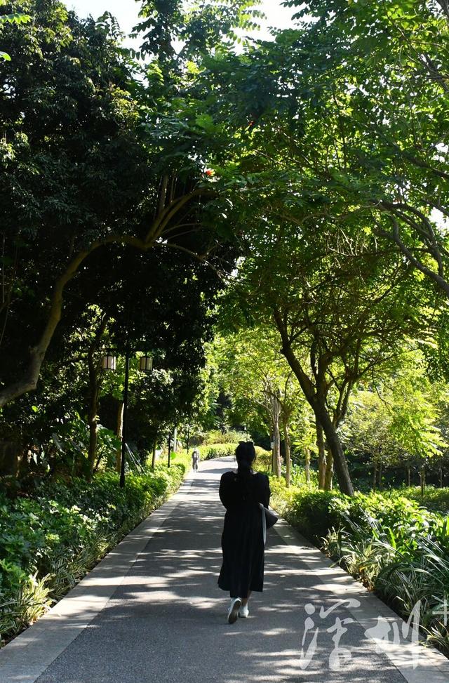 深活指南｜“我宣布，深圳的夏日就是大型养生局”