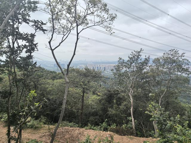 南京汤山龙尚湖青龙山佘村一日郊野徒步