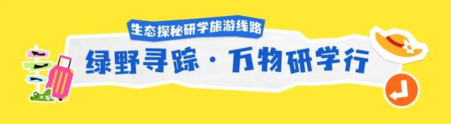 重磅推出！吉林十大研学旅游精品线路！抄作业就对了！